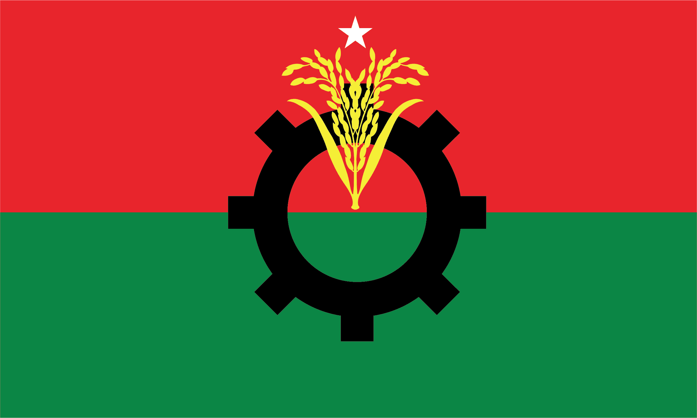 Bangladesh Nationalist Party Logo
